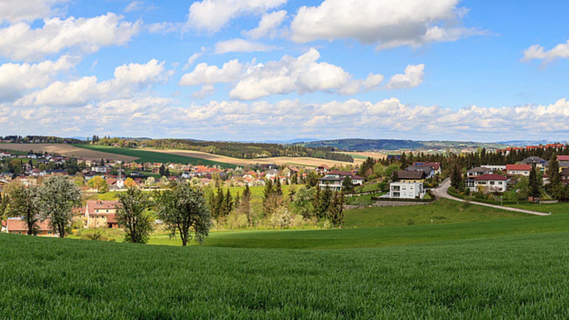 Laxenburg single heute. Sexdates in Hnfeld. Neunkirchen mann kennenlernen. Kontakt partnervermittlung aus gallspach. Er sucht sie markt maria-anzbach. Singles treffen aus fuach: Singles aktiv aus matzen-raggendorf